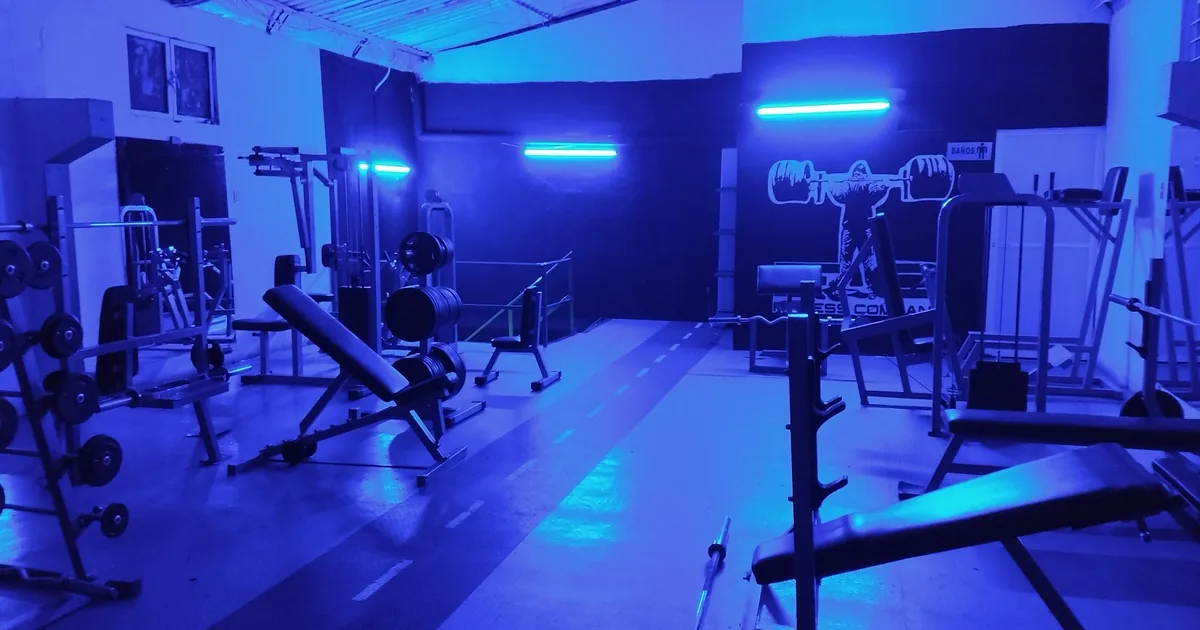 Fitness Company Gym