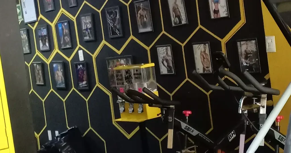 Sport’s Live Gym