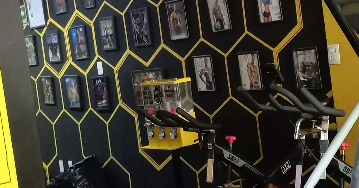 Sport’s Live Gym