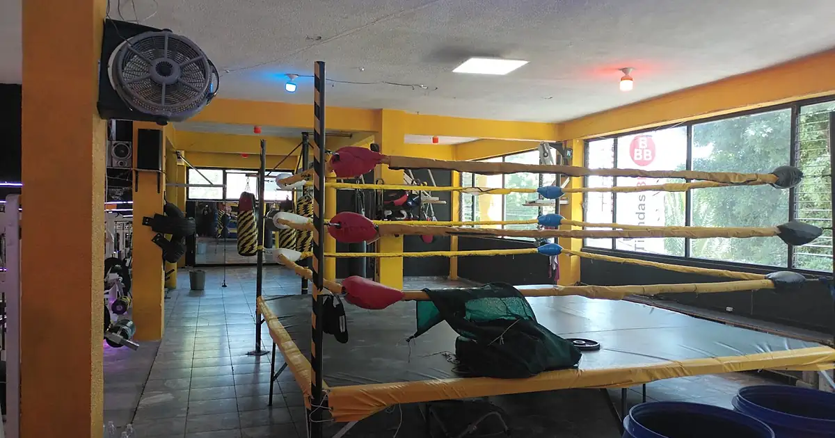 Castillo Gym