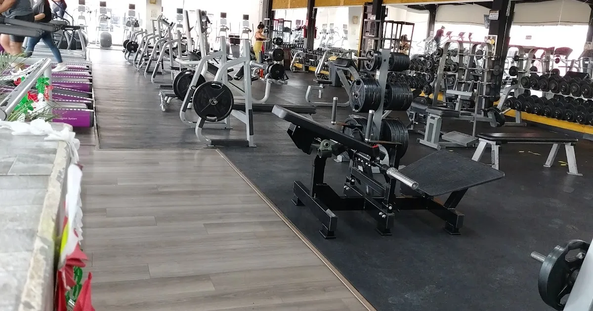 SPORT FIT