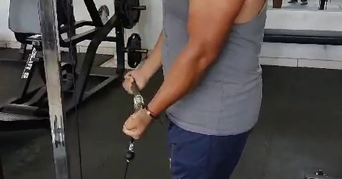 M GYM