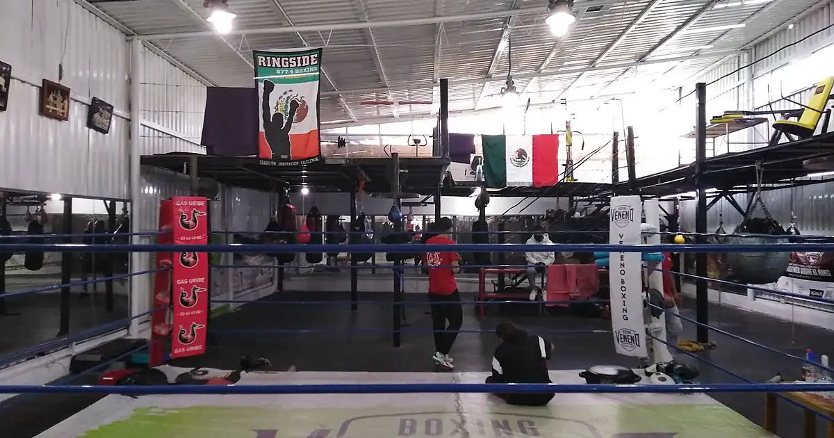 Veneno Boxing Gym