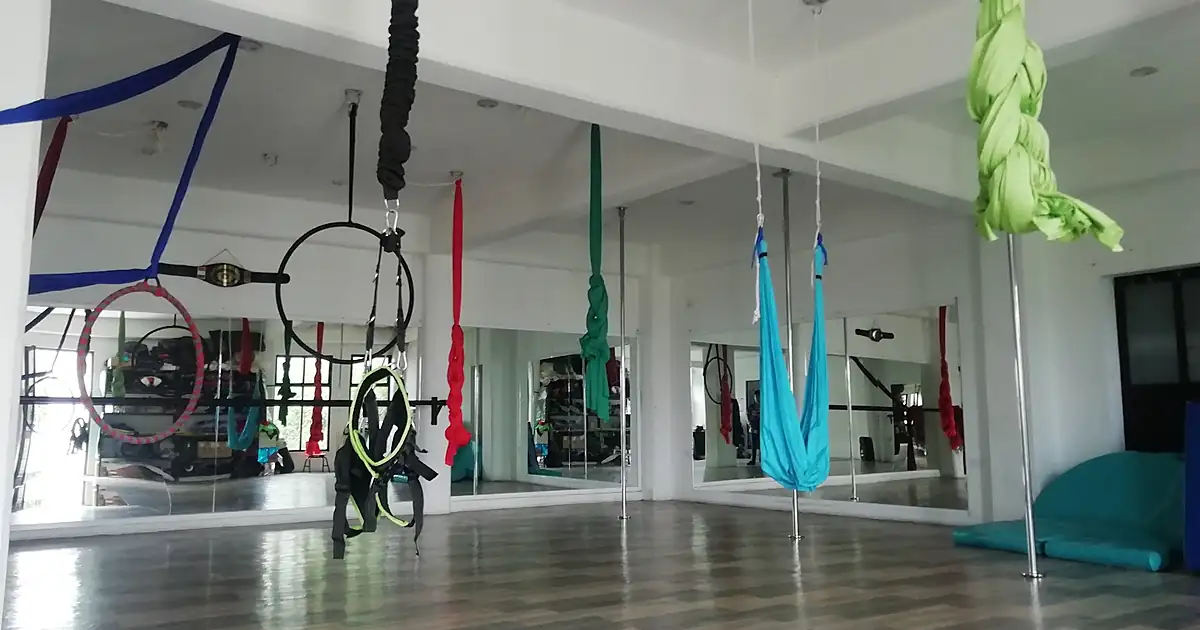 ImpulsARTE Ballet, Pole, Yoga y Artes Marciales.