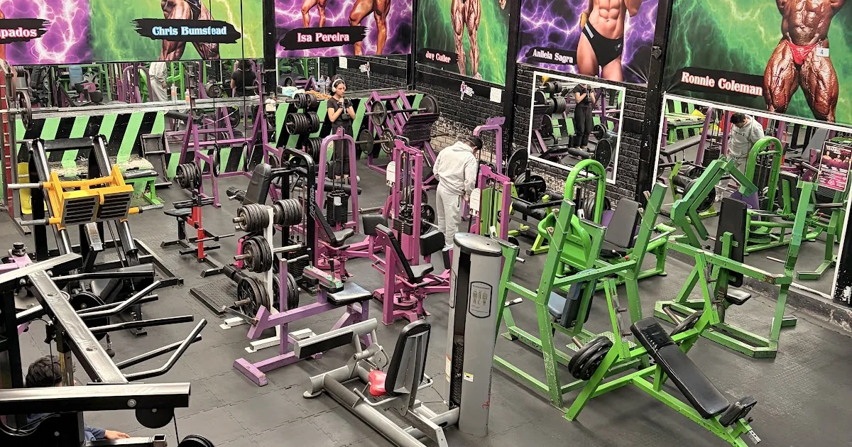 The Gym
