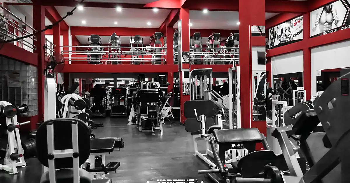 Yandel´s GYM (CAFYG)