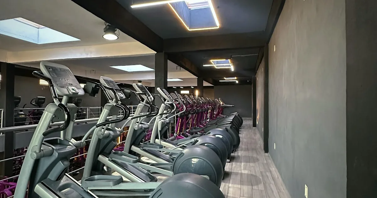 Kingdom gym