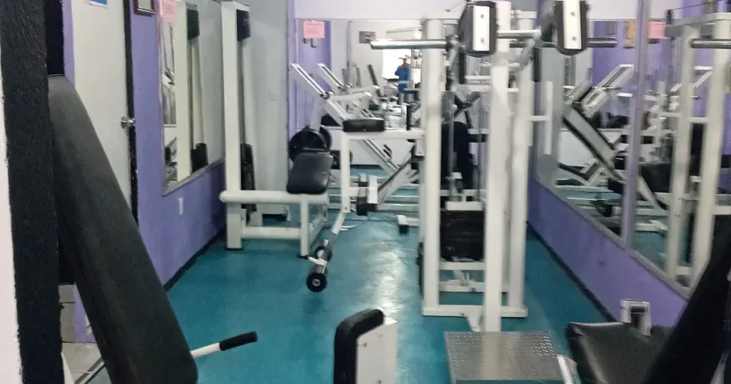 Master Gym