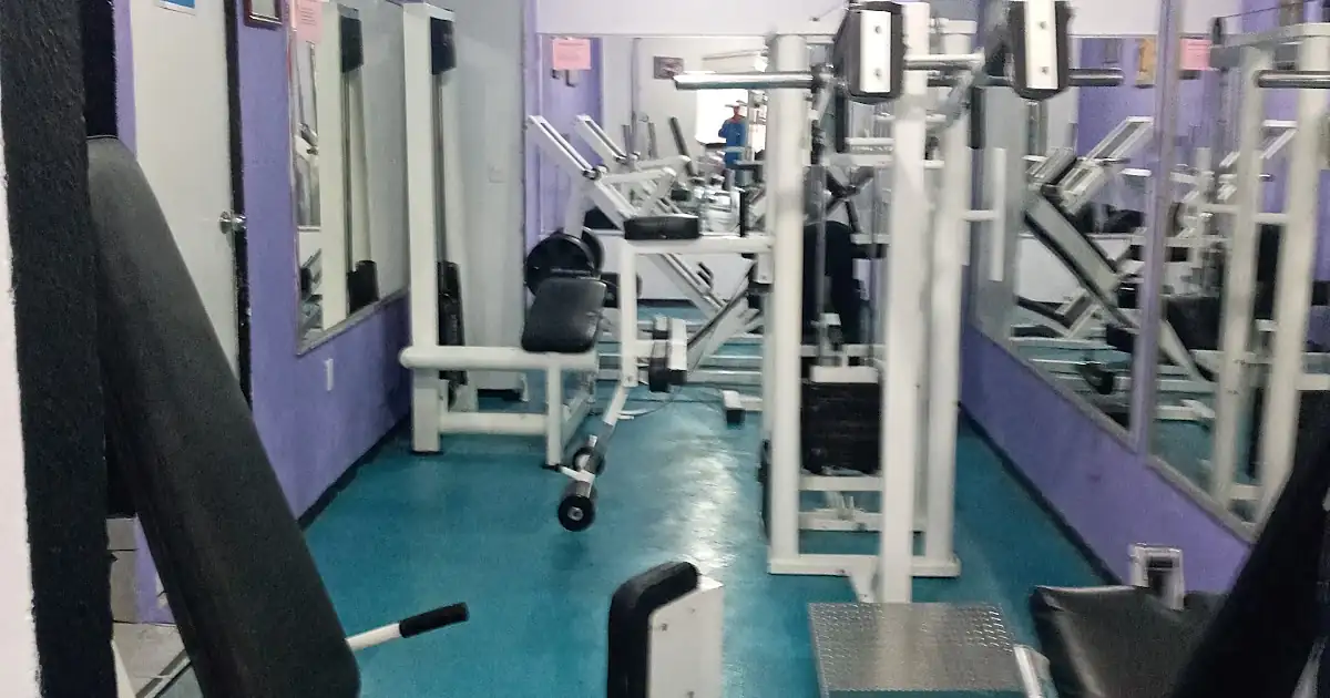 Master Gym