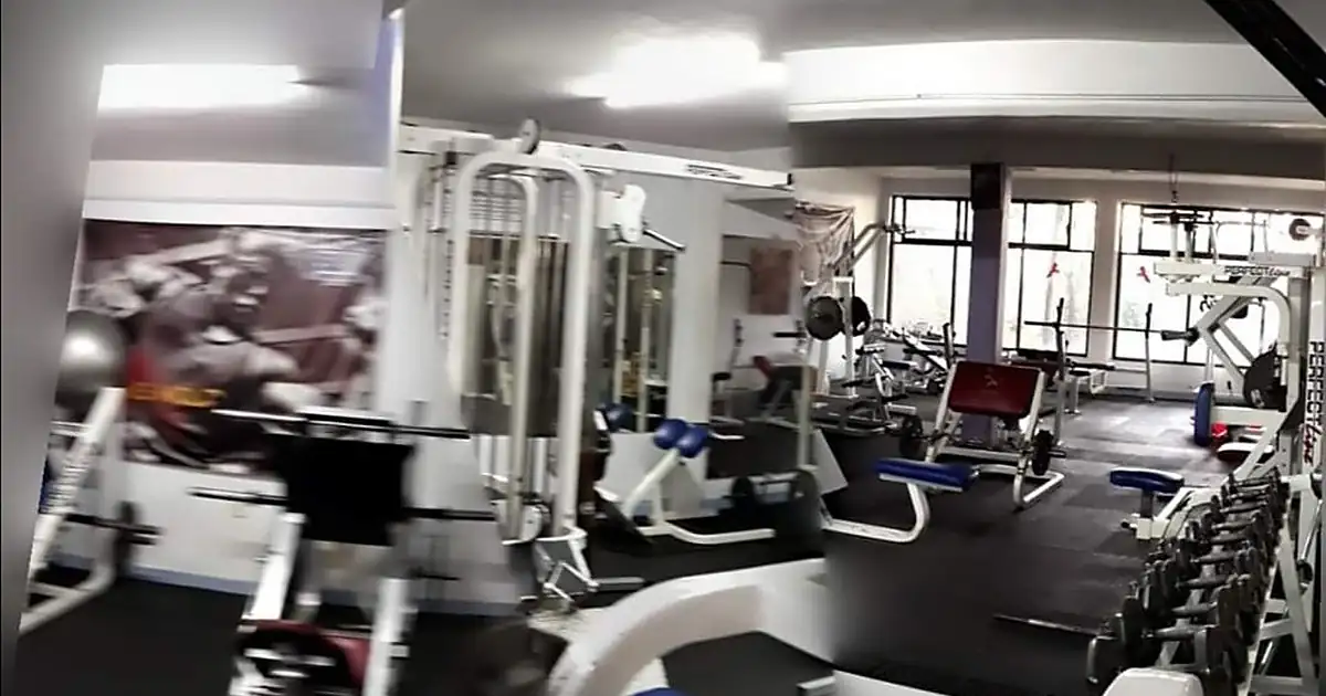 Wolf’s Gym
