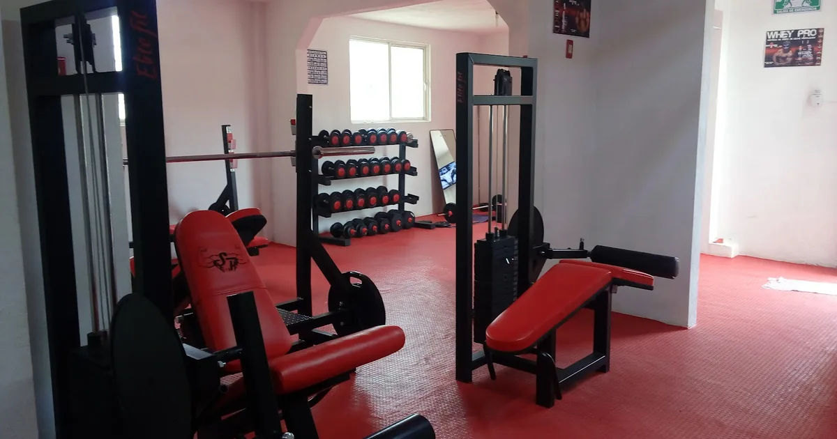 Sport Power GYM Y Consulta Nutricional Para El Control De Peso