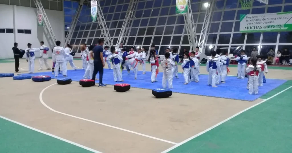 Gimnasio Polivalente