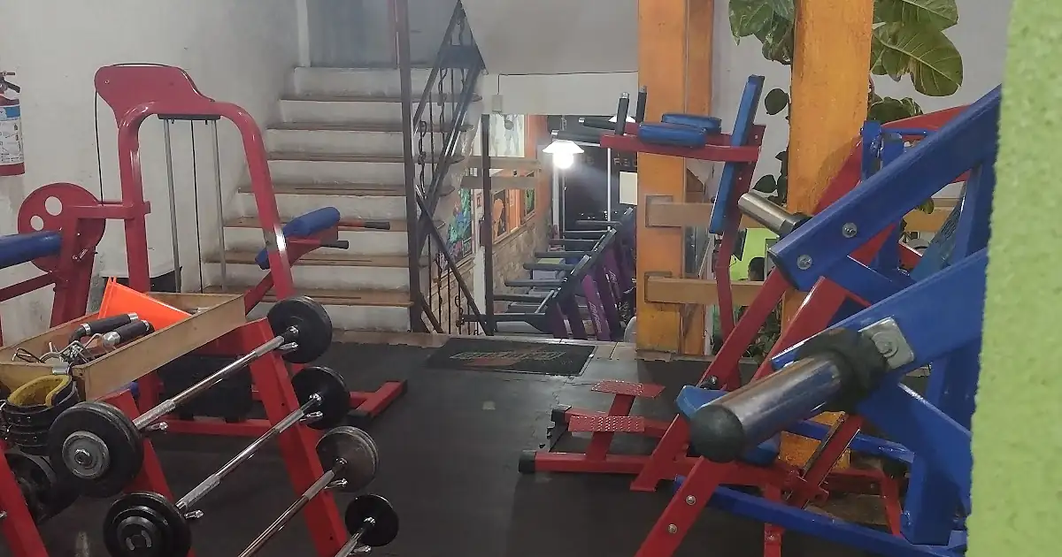 Gimnasio Spider