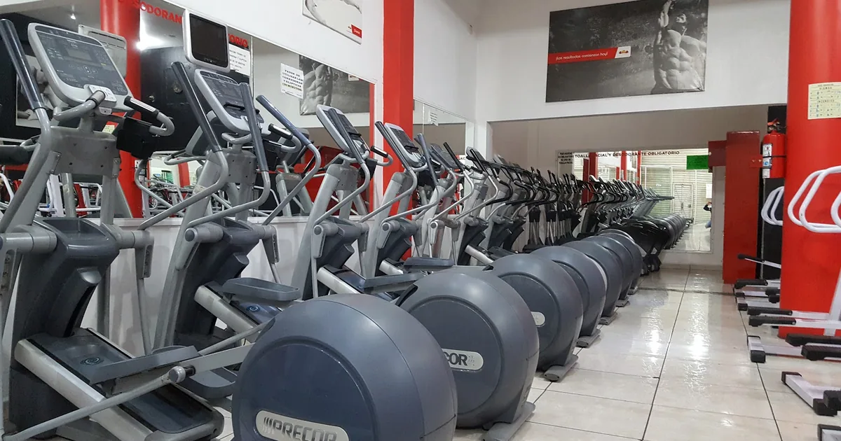 Gym Perfect Line