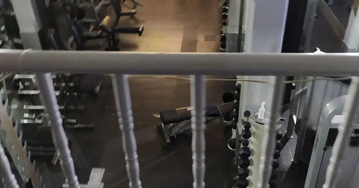 World Fitness Gym