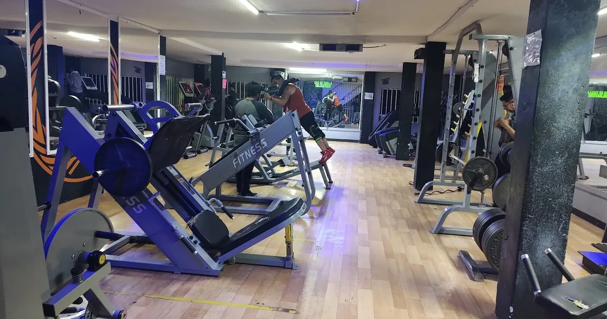 Muscle Mafia Gym