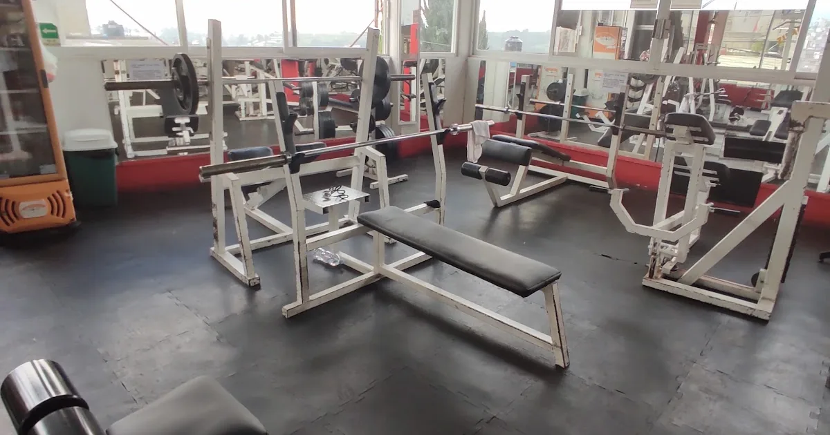 Ever Gym