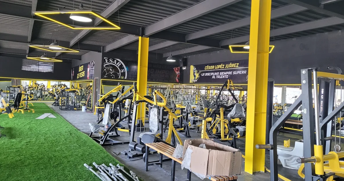 Cesar’s Gym Nicolas Romero