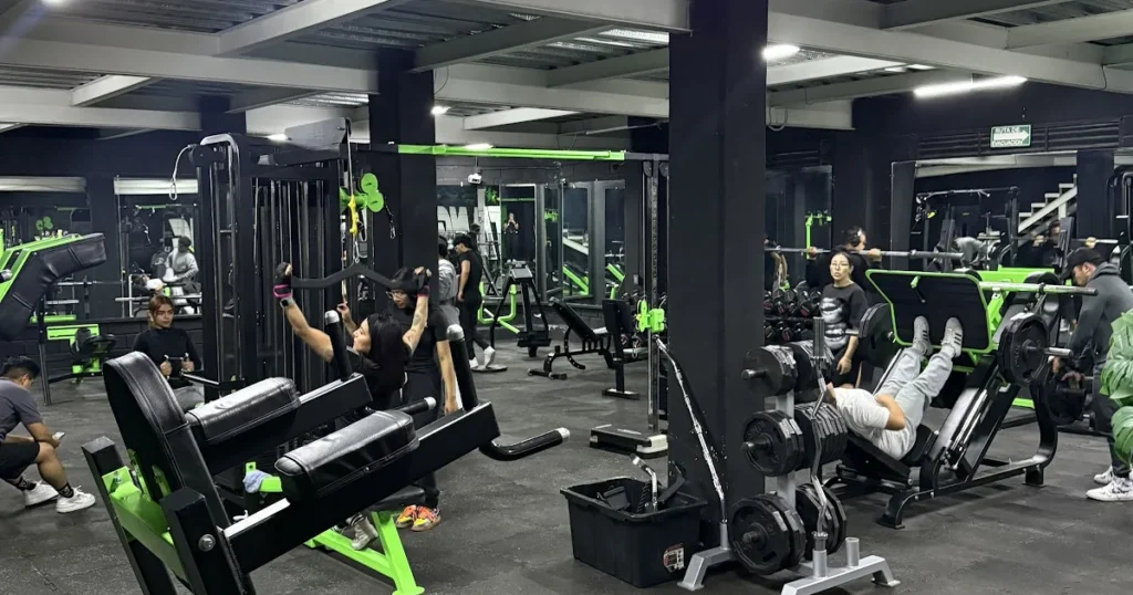 MUSTANG GYM
