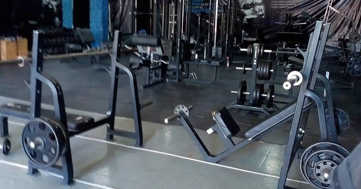 Dragon’s Gym