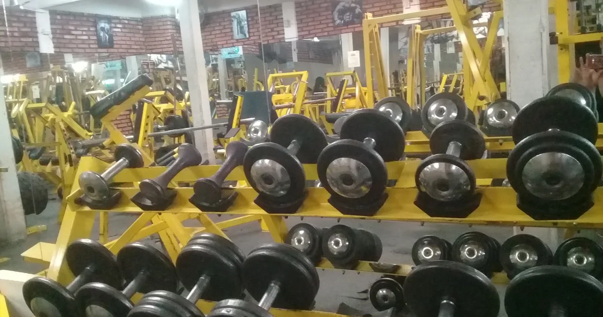 Bleu Gym
