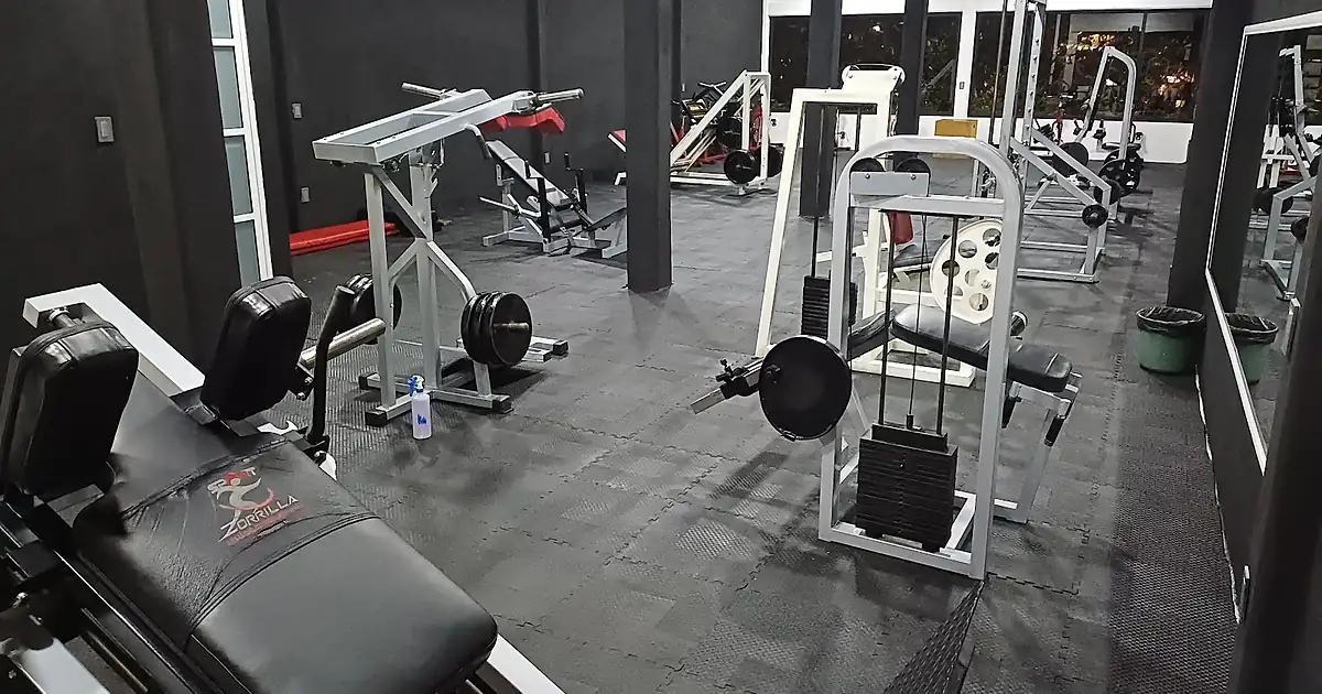 Gym Club Lions