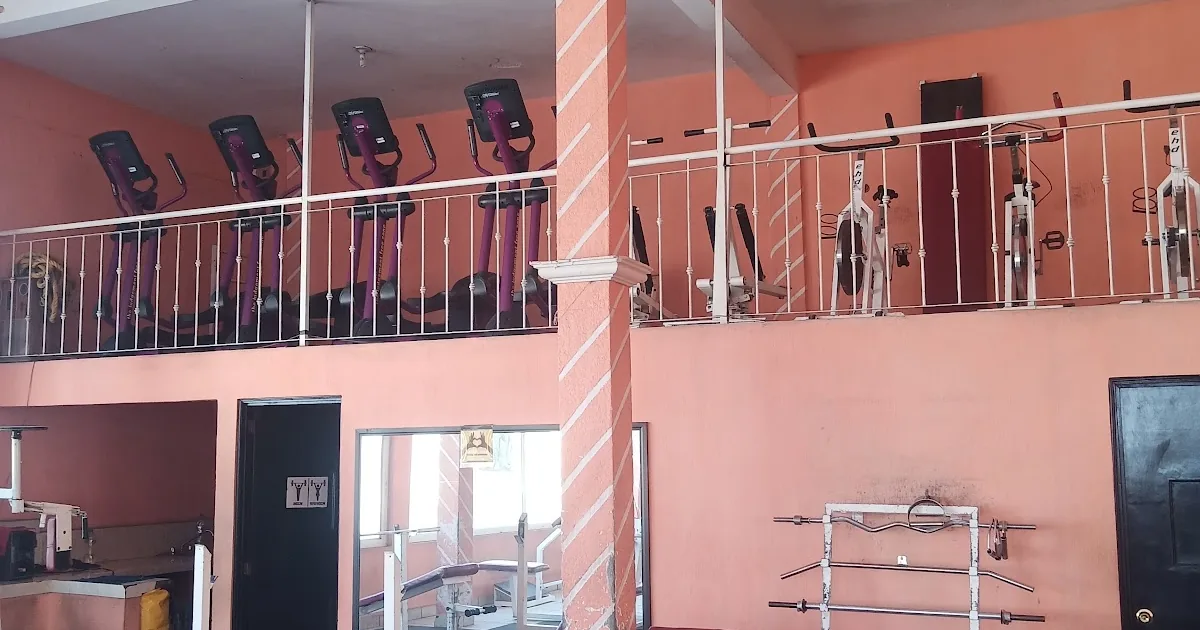 The Gym