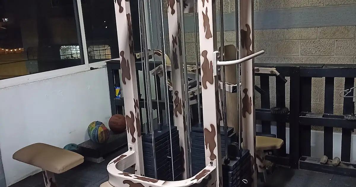 The Master Gym