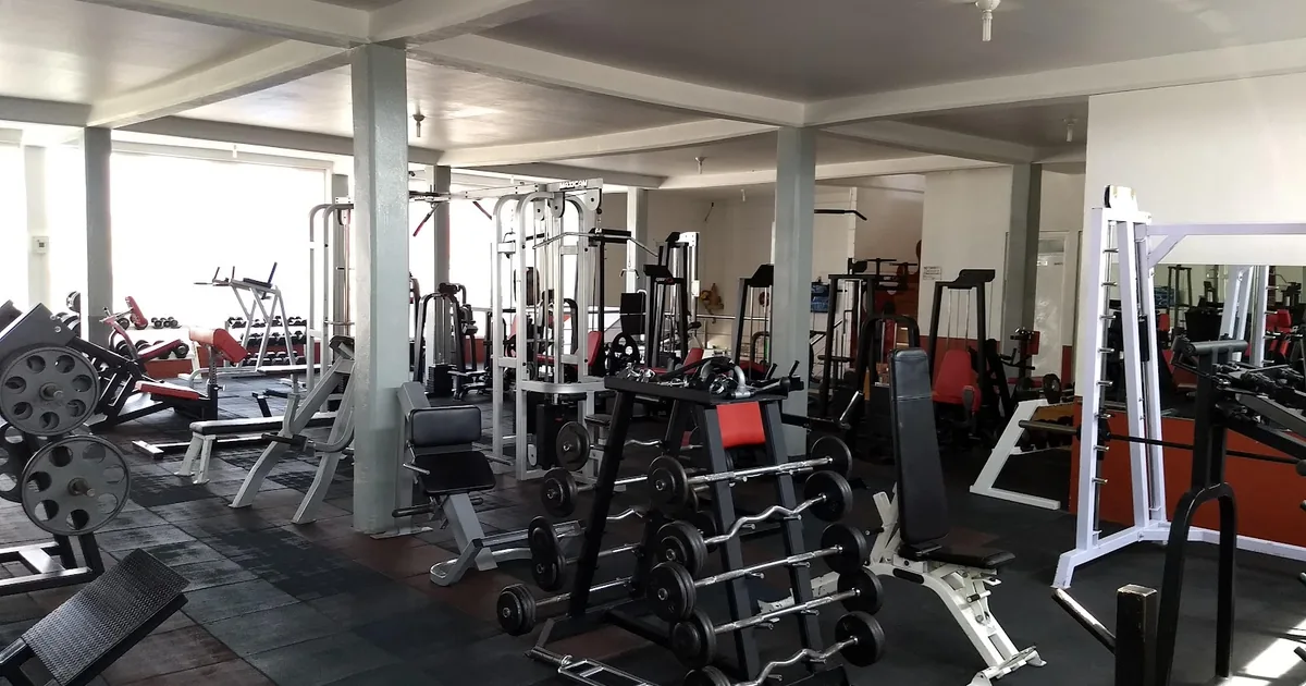 Master Gym