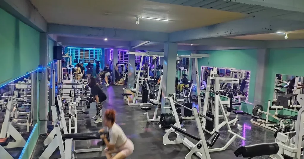 Zeus gym