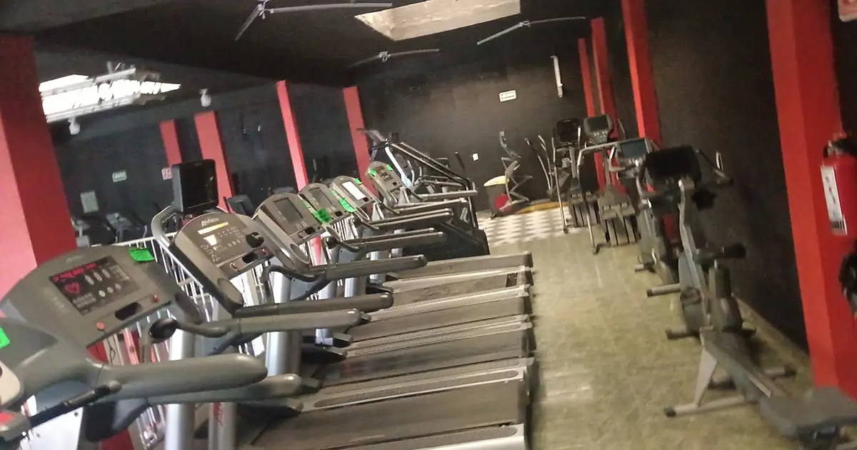 Ulfixgym el salado