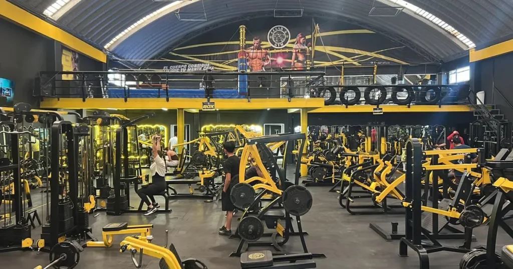 César’s Gym Tecamac