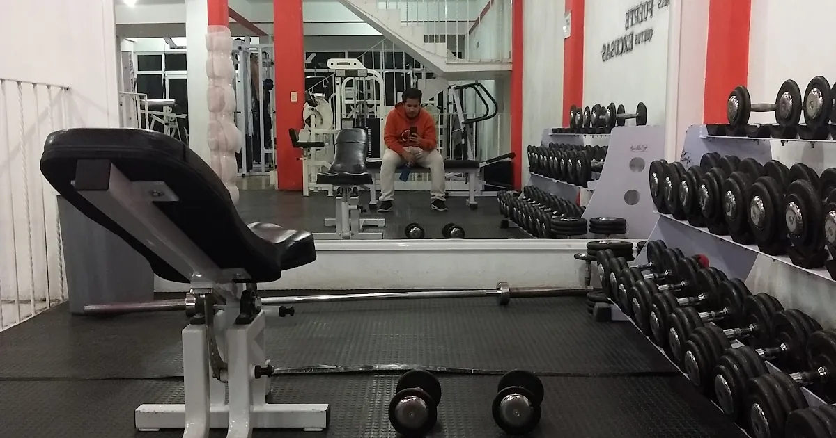 Gimnasio Amadeus