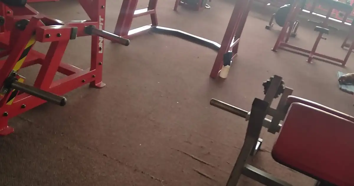 ARMADILLO’S GYM CEDAR