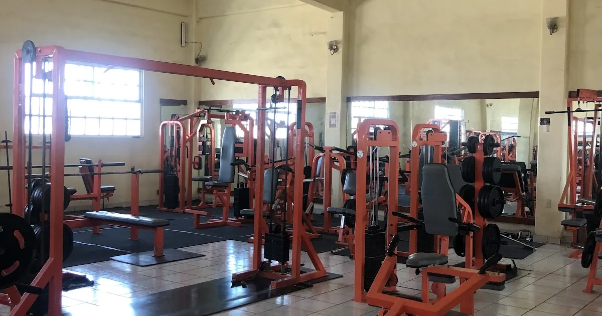 Arboledas Gym Olimpus