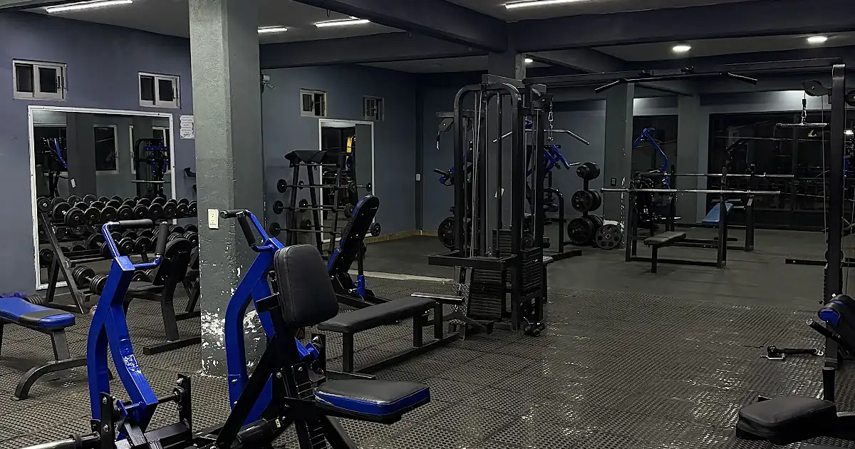 Gym Evolution