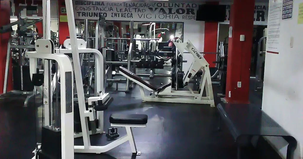4EverFit