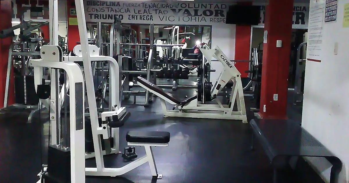 4EverFit