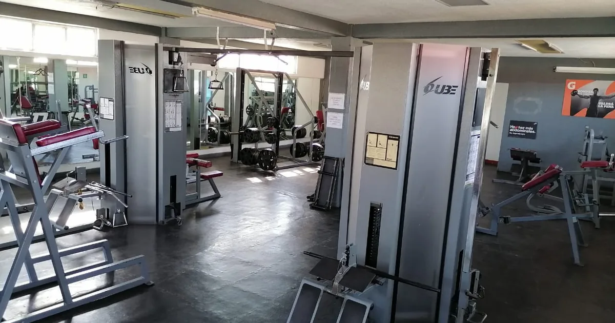 Gym Sport Universe