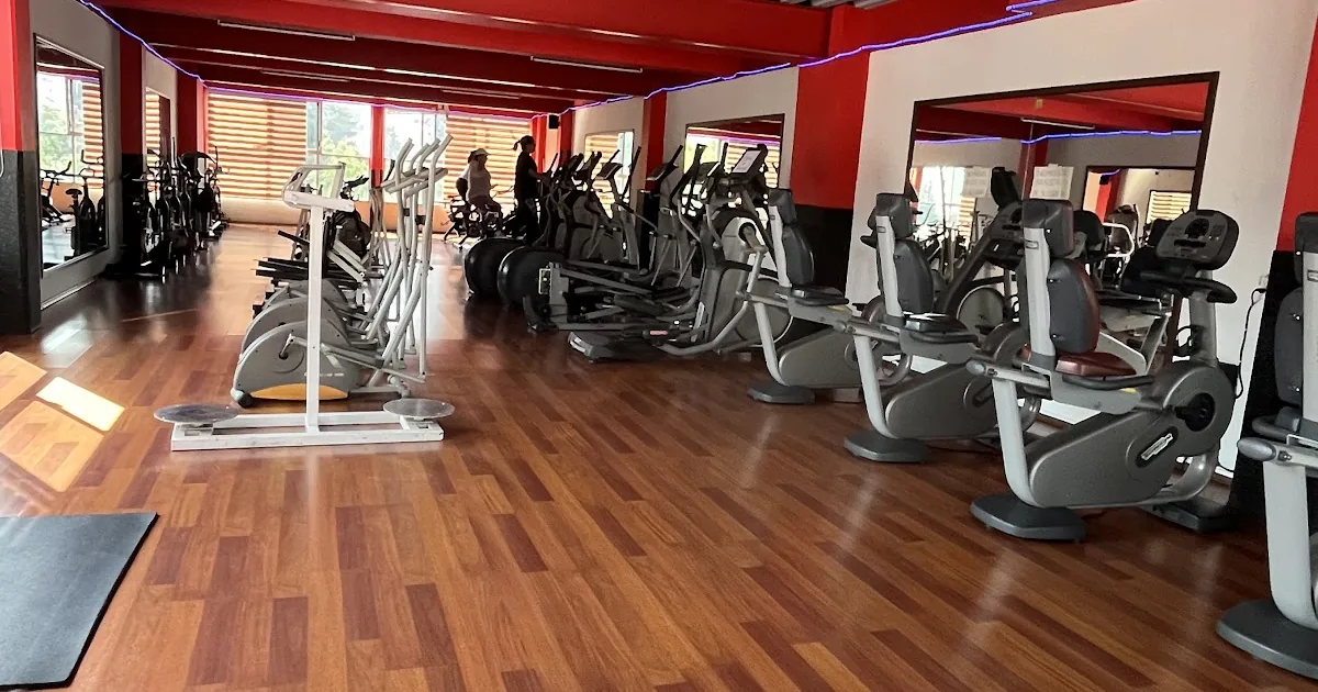 LION FORCE GYM