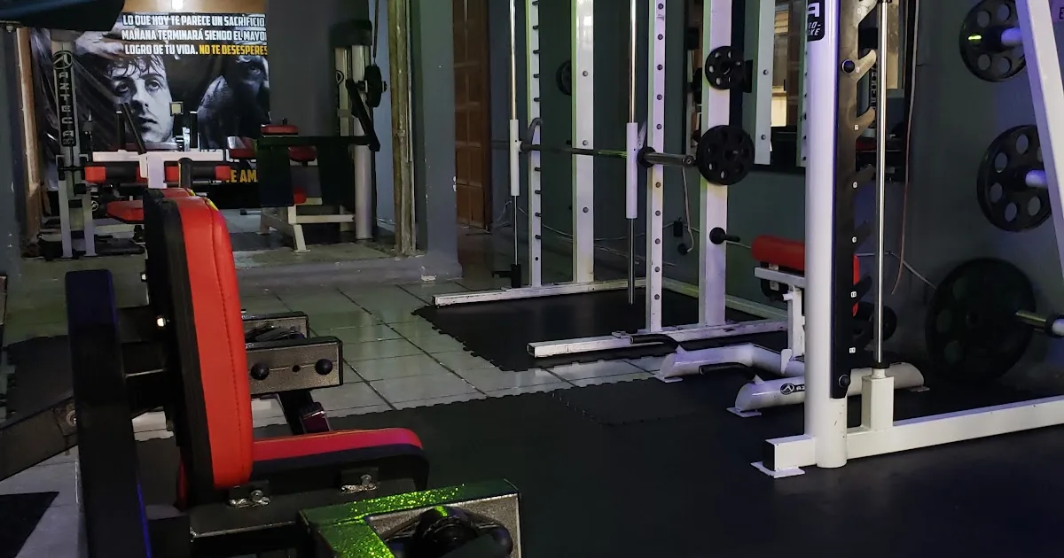 Perros Gym