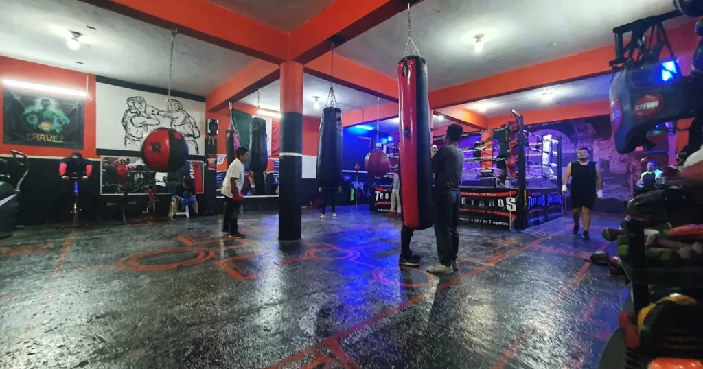 Academia de Box Troyanos La Romana