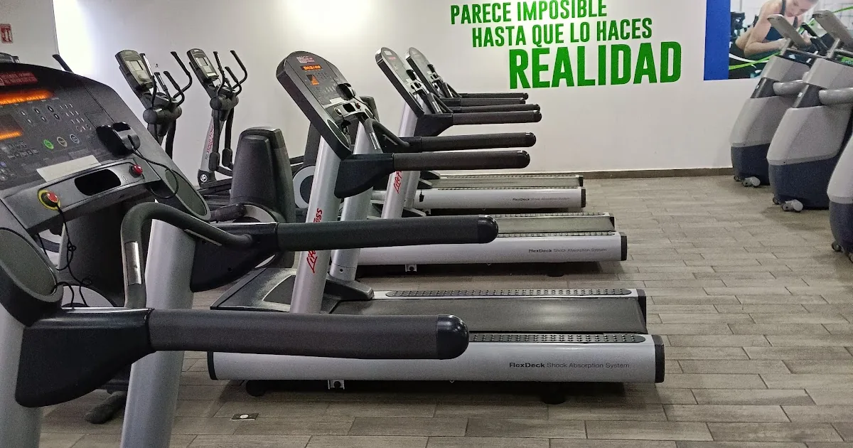 Ventura Fitness Toluca