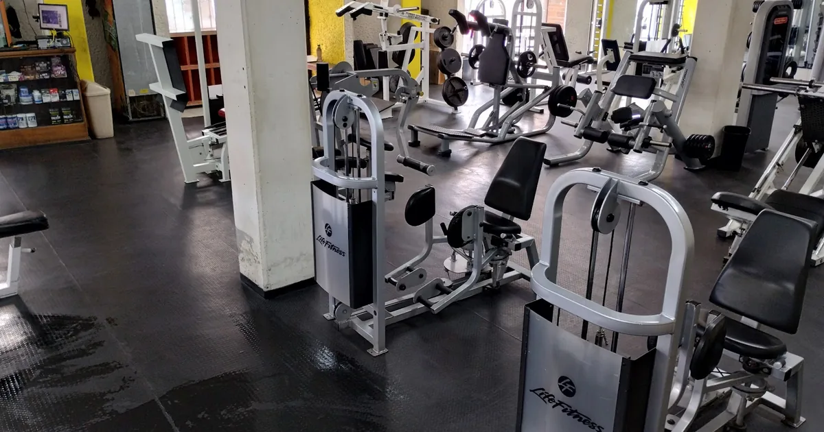 Monkey Gym_Toluca