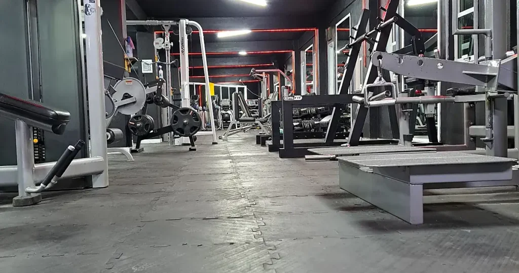 Olympia Fit