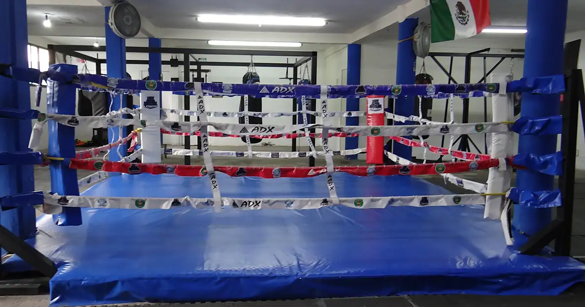Lobos Boxing