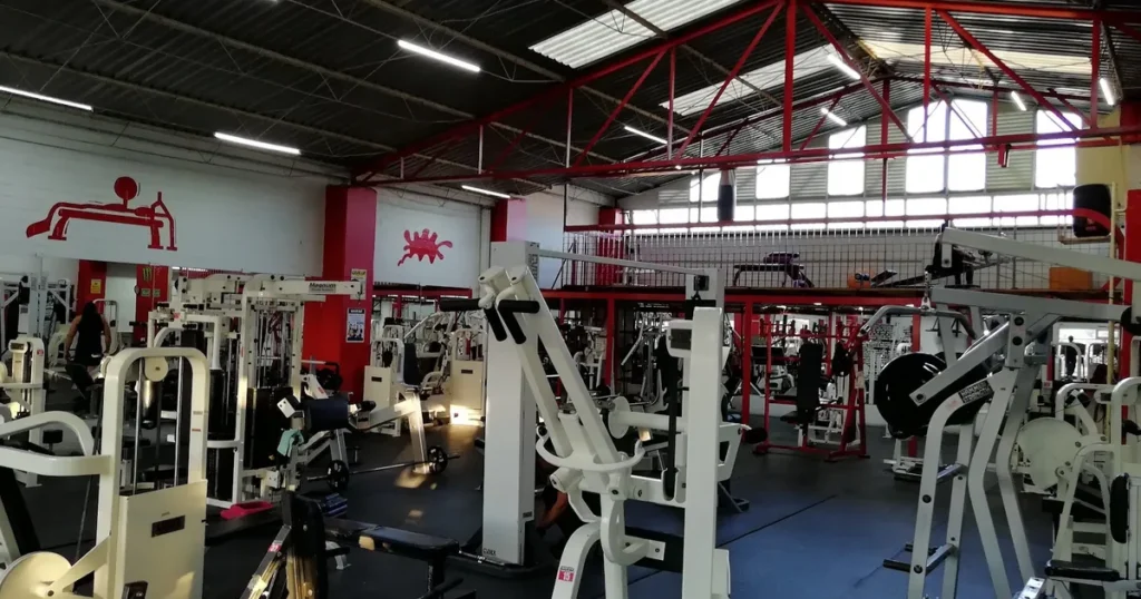 Workout Fitness