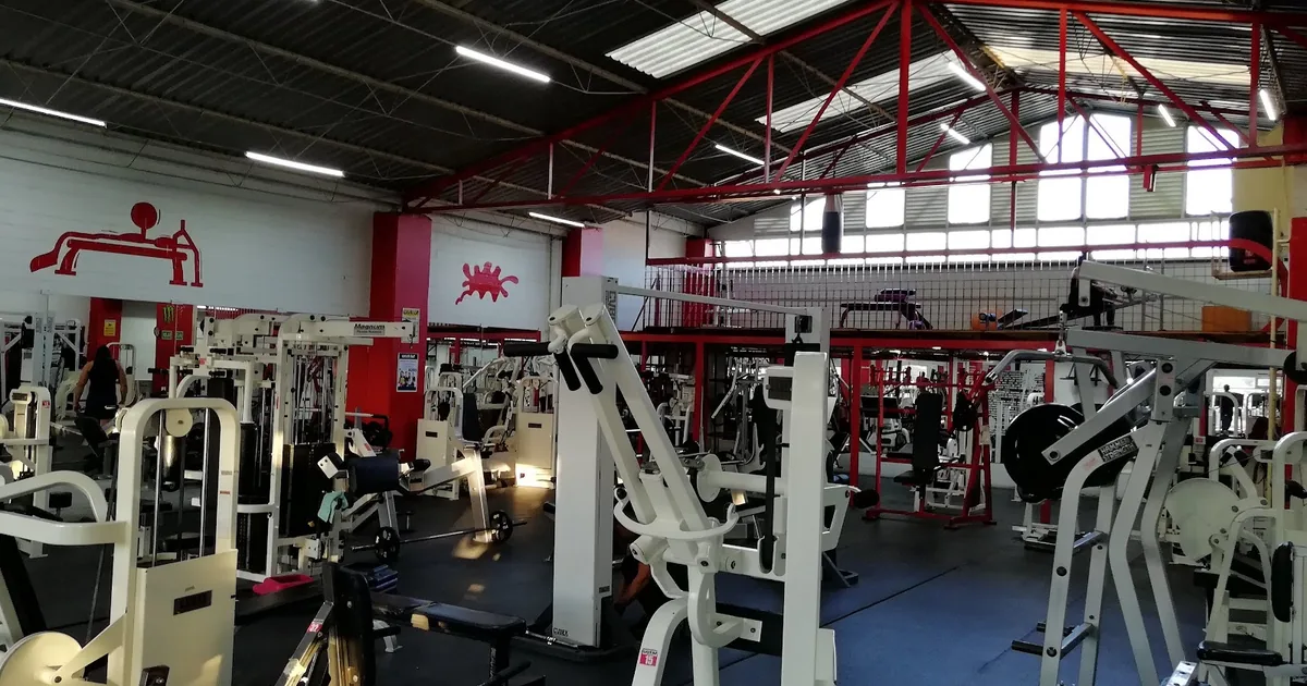 Workout Fitness