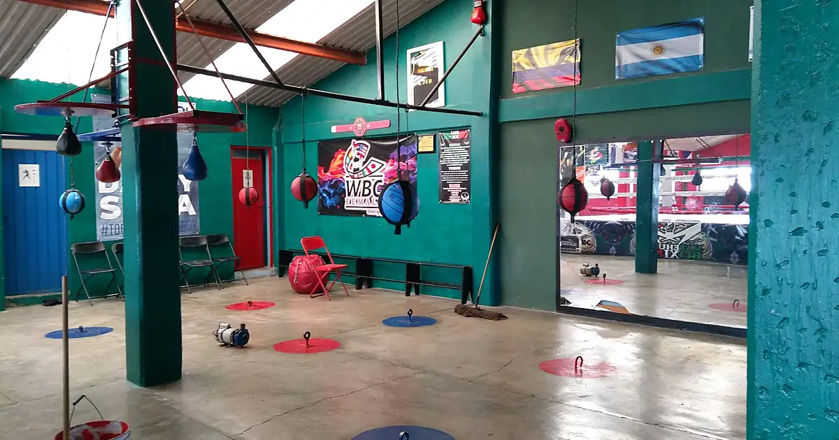 Matehuala Boxing