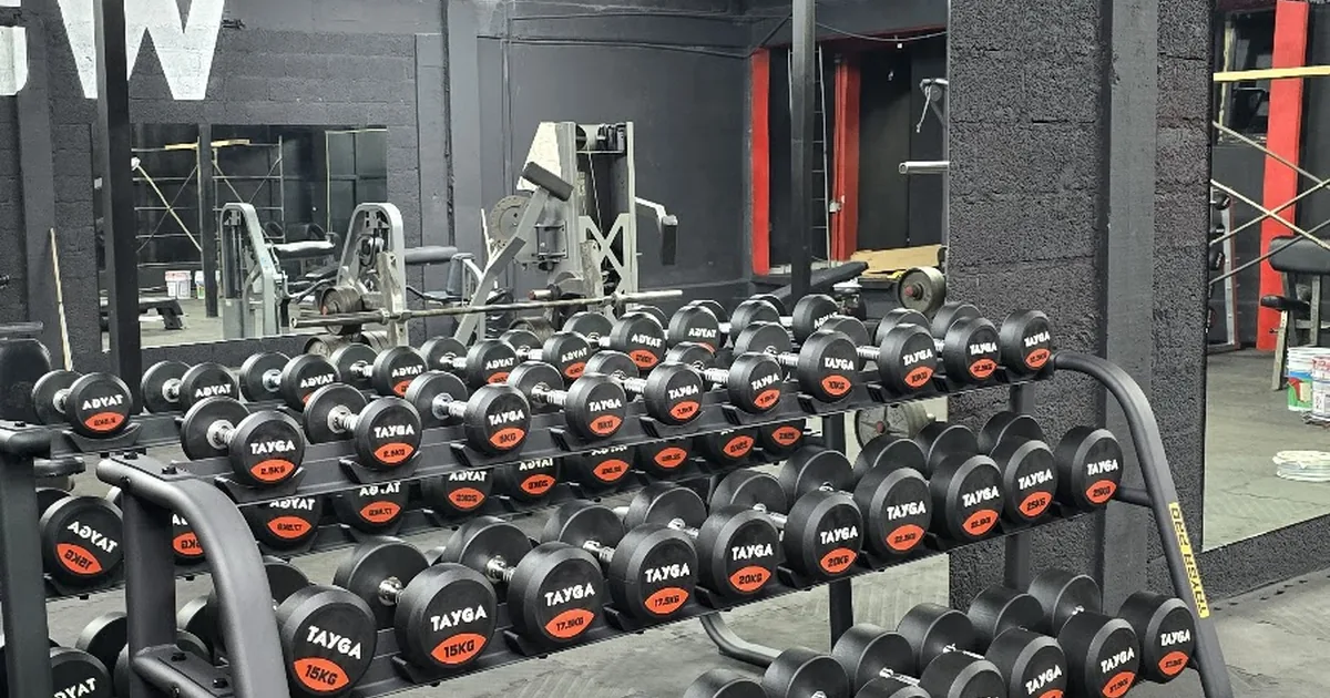 Warriors gym mx